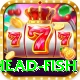 snake head fish Games (Casino & Earning) Plus v2.8.5