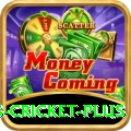 sports cricket Mega Gaming App