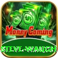 steve waugh Ultimate Pro v5.1.7
