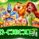 t20 cricket Pro Edition v4.4.6