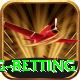 turkey super lig betting Pro Edition v3.2.5