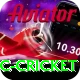 uc cricket Pro Edition v4.2.3