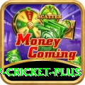 v cricket - Casino Super