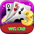 wc t20 Pro Max v1.0.7