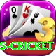 west indies cricket Plus Edition v1.6.1