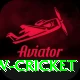 willow cricket VIP Edition v3.5.9