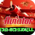 world t20 schedule Master Pro v1.3.1