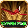 yaywin Pro Edition v2.3.2